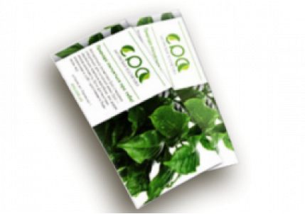 Рекламные листовки в Москве