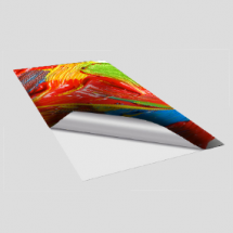 Печать на самоклеющейся бумаге