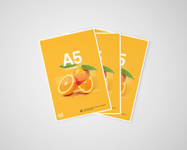 Листовки формата A5