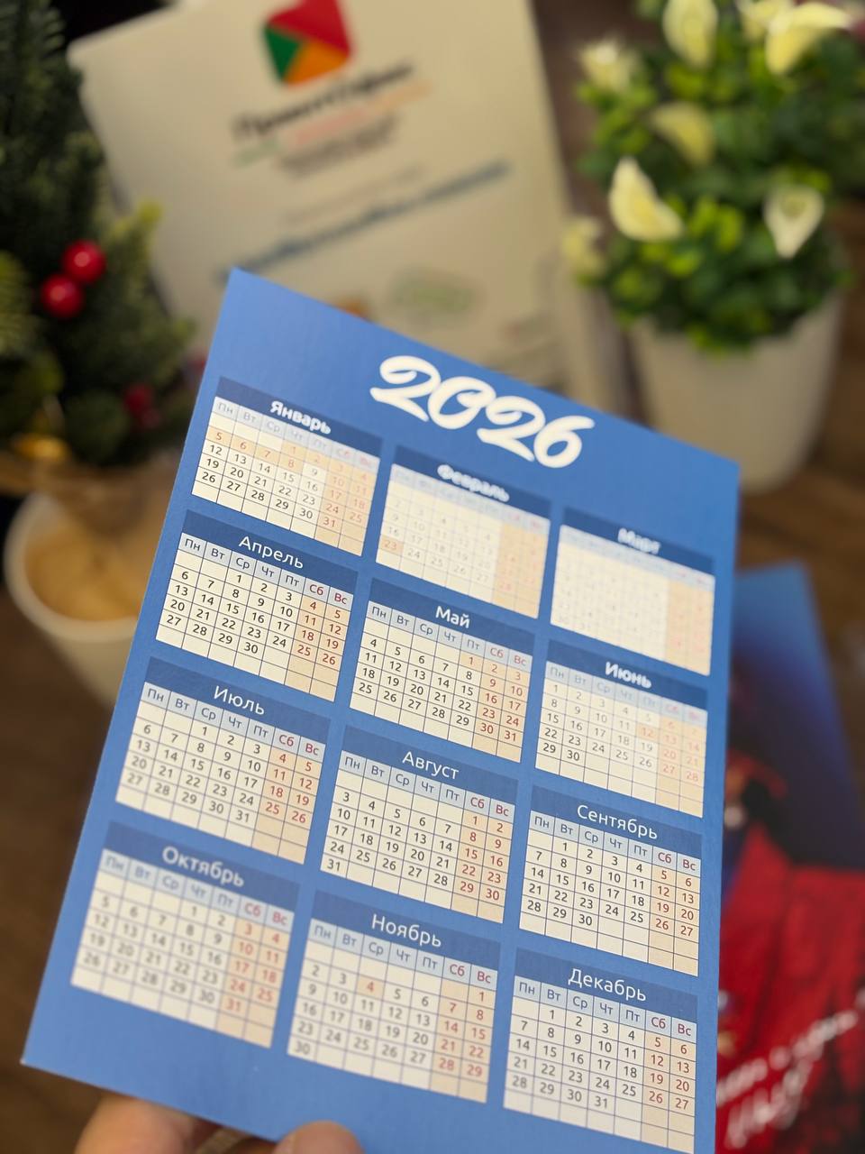 Сетка на год