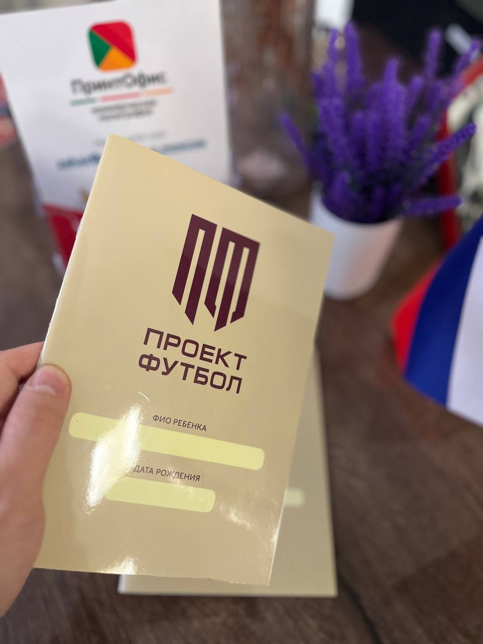 Проект 2: Брошюры на пружине